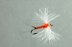 CDC Biot Spinner, Rusty Collector's Fly tied by Skip Morris