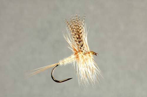Light Cahill Collector's Fly tied by Skip Morris