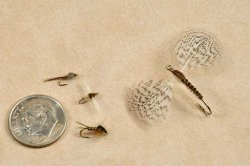 Four Flies from the Western Mayfly Collector's Edition tied by Skip Morris