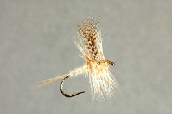 Light Cahill Collector's Fly tied by Skip Morris