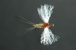 Poly-Wing Spinner, Trico Collector's Fly tied by Skip Morris