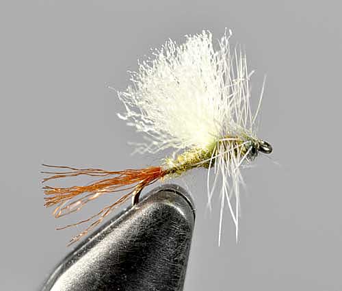 Morris May, BWO