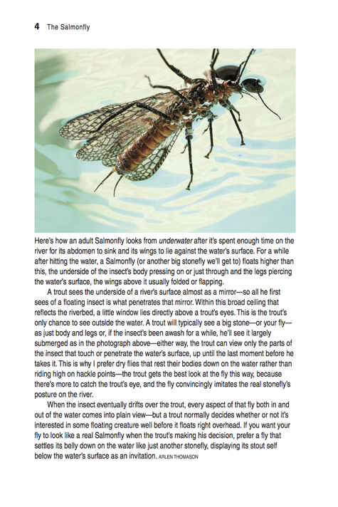 The Salmonfly Guide to the Dream Hatch of the West