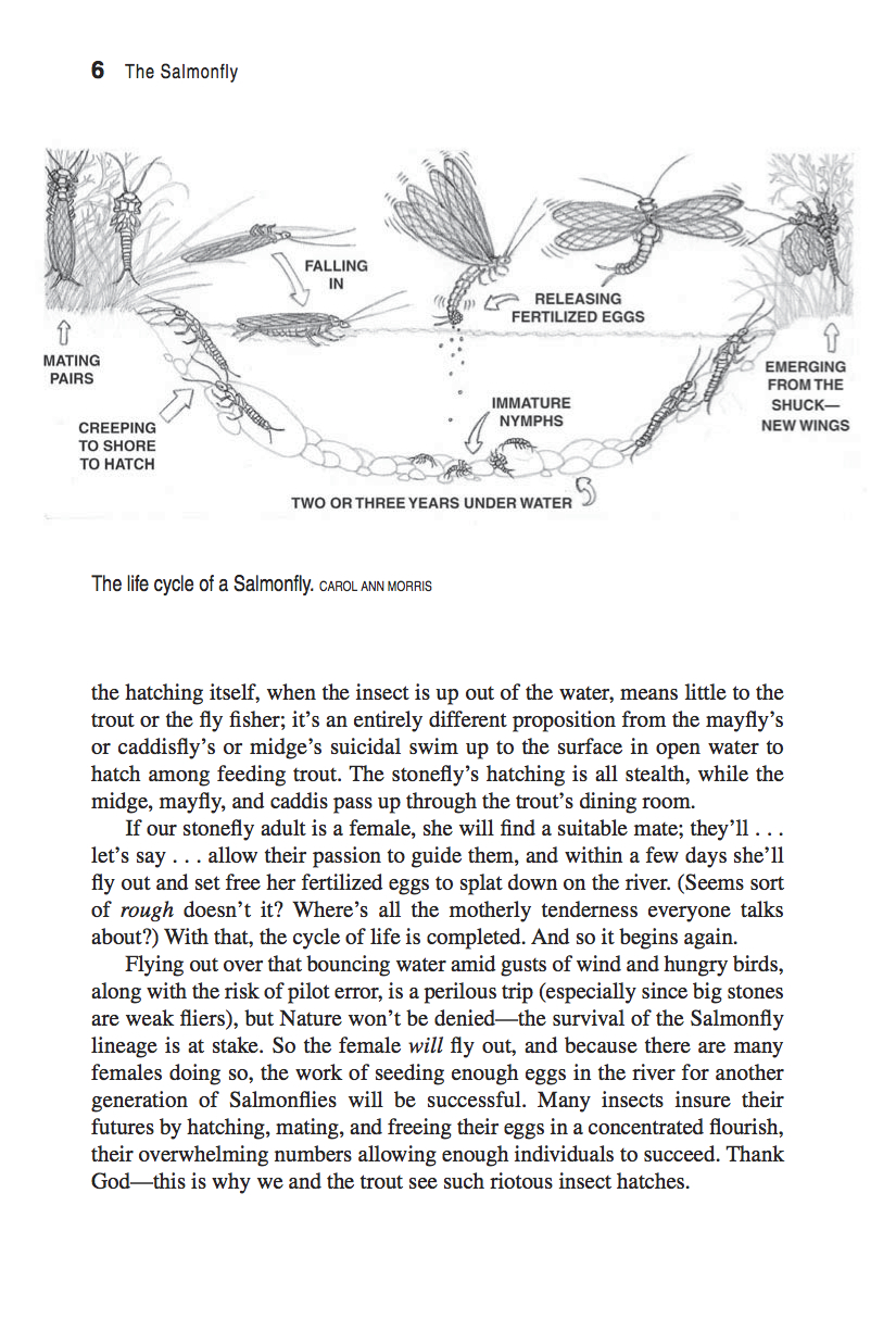 The Salmonfly Guide to the Dream Hatch of the West