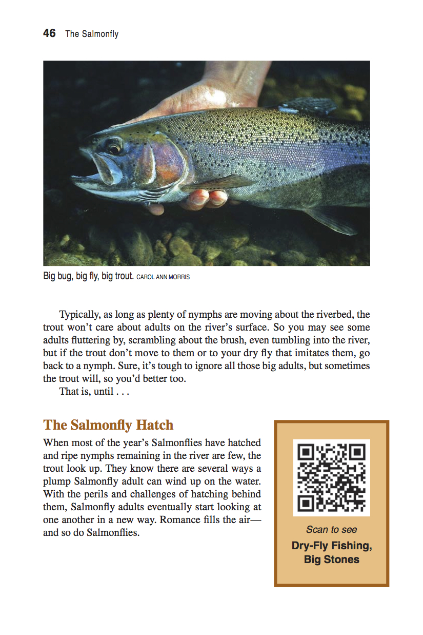 The Salmonfly Guide to the Dream Hatch of the West