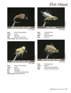 Seasons for Trout
