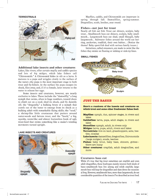 Survival Guide for Beginning Fly Anglers by Skip Morris