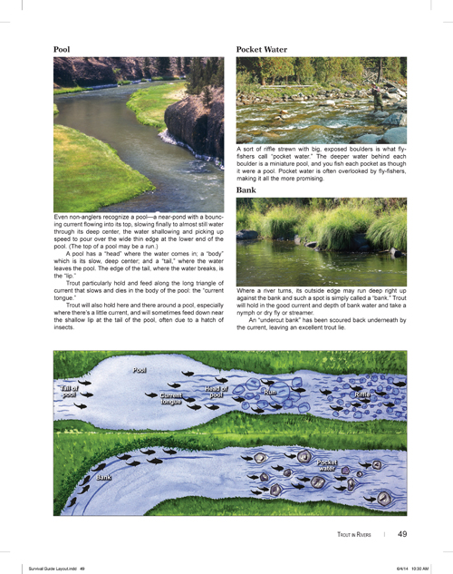 Survival Guide for Beginning Fly Anglers by Skip Morris