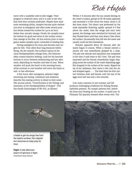 Tactics for Trout
