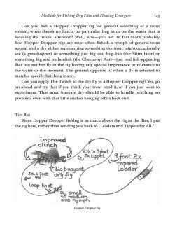 Top 12 Dry Flies for Trout Streams: How, When, and Where to Fish Them by Skip Morris, sample Hopper Dropper rig illustration