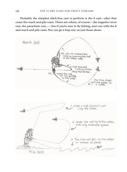 Top 12 Dry Flies for Trout Streams: How, When, and Where to Fish Them by Skip Morris, sample casting illustrations