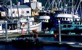 Boats in Neah Bay, Washington