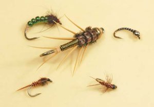 Fly Fishing Imitative Nymphs