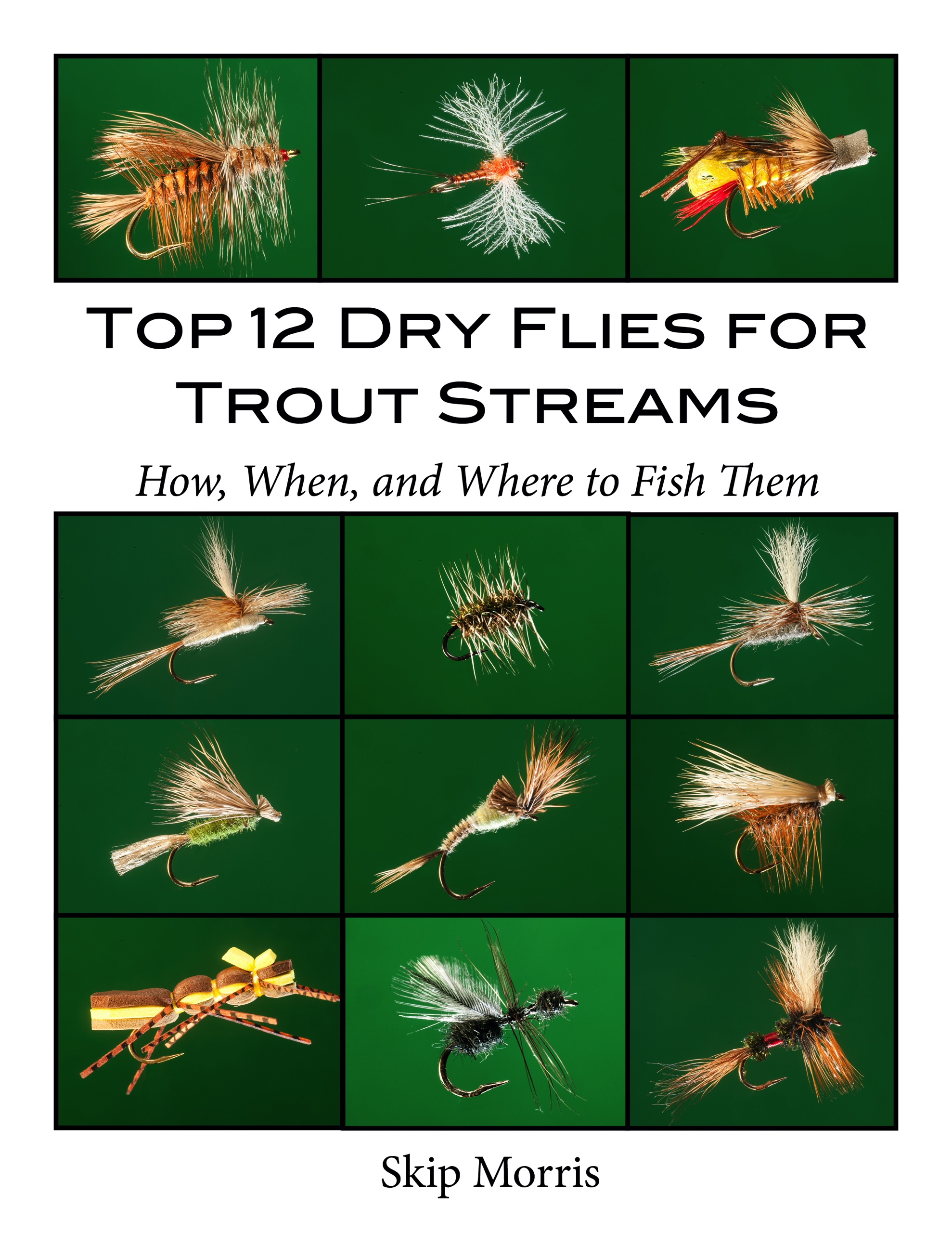 Top 12 Dry Flies for Trout Streams: How, When, and Where to Fish Them an ebook by Skip Morris