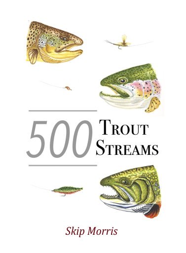 365 Fly Fishing Tips for Trout, Bass, and Panfish by Skip Morris