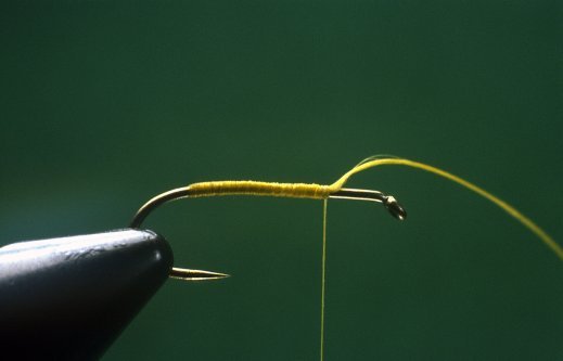 Partridge and Yellow, tying Step 1