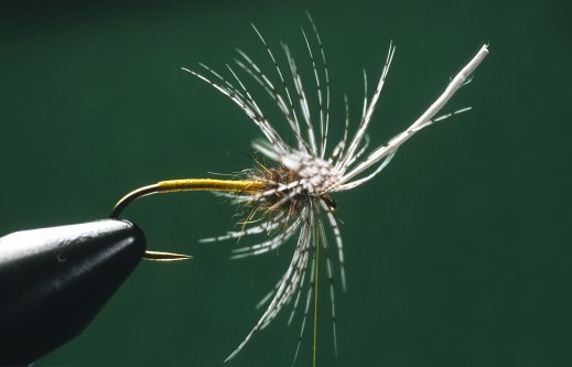 Partridge and Yellow, tying Step 4