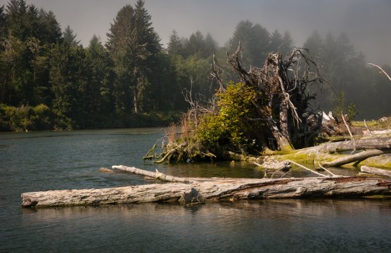 Western Washington rivers in fog