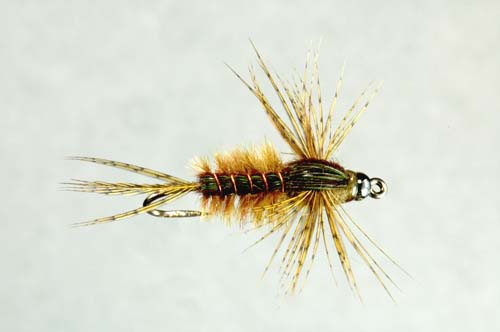 Anatomical Green Drake Collector's Fly tied by Skip Morris