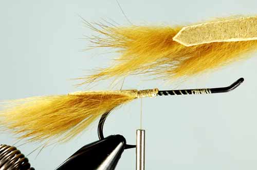 Fly Tying: Strip Leech 