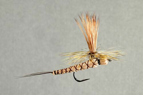 Paradrake, Brown Drake Collector's Fly tied by Skip Morris