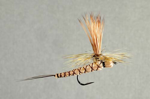 Paradrake, Brown Drake Collector's Fly tied by Skip Morris