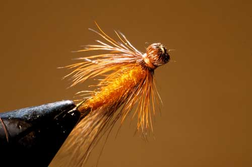 The Bullet Head for Dry Flies by Skip Morris