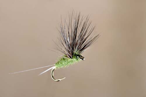 Compara-dun Blue-Winged Olive Collector's Fly tied by Skip Morris
