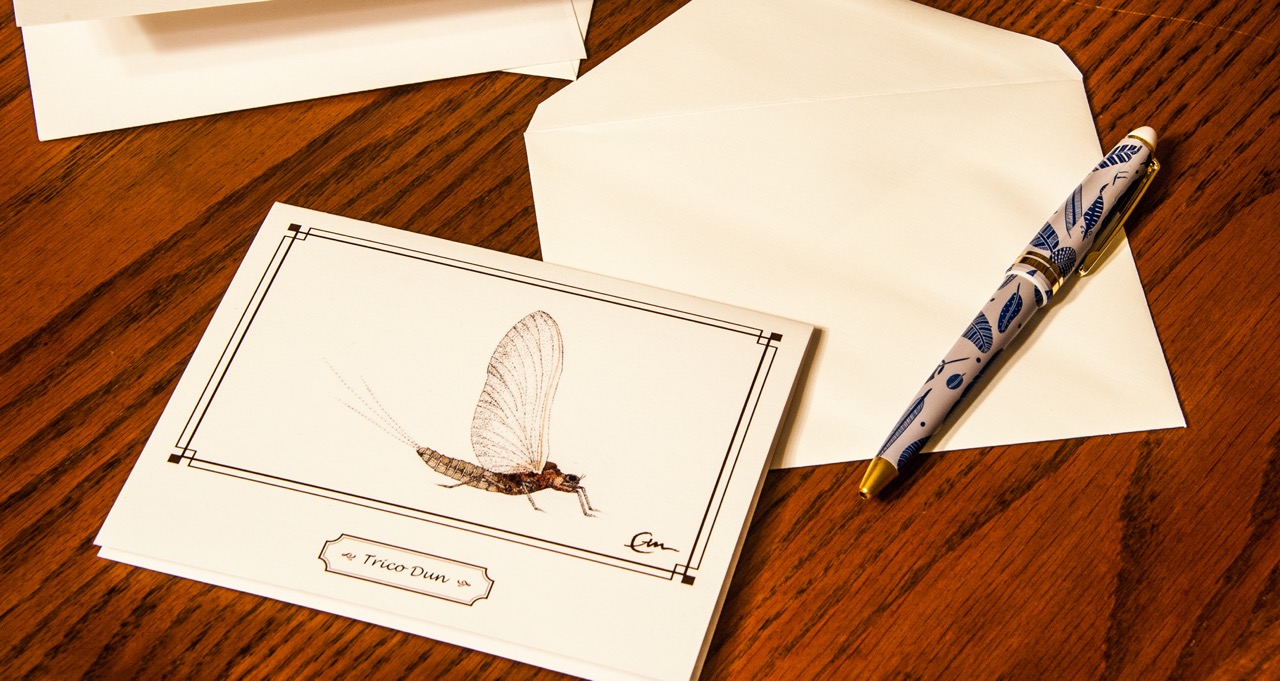 <i>Baetis</i> mayfly dun note card, © Carol Ann Morris