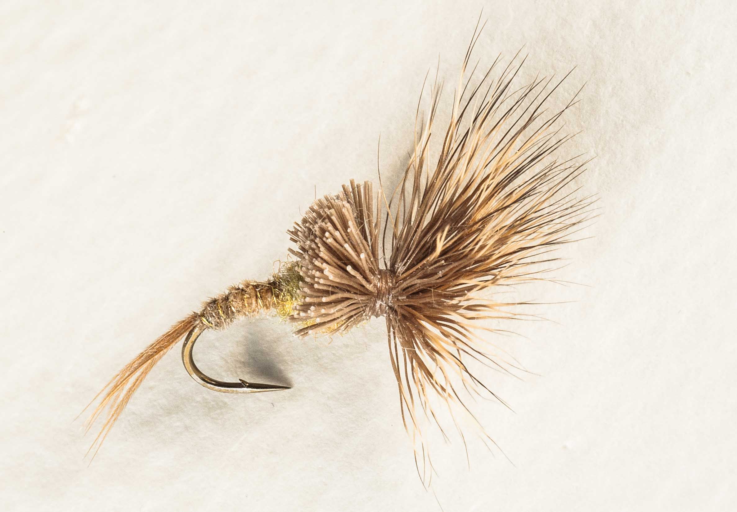 First Tuesday Tips: Tip 9: Carry a Foundation Set of Flies to Trout Lakes