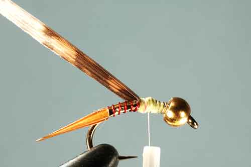 Gabriel's Trumpet, Gold, Step 5