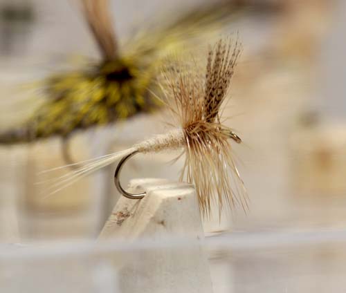 Light Cahill collector's fly tied by Skip Morris