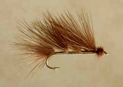 Marabou Leech, Brown