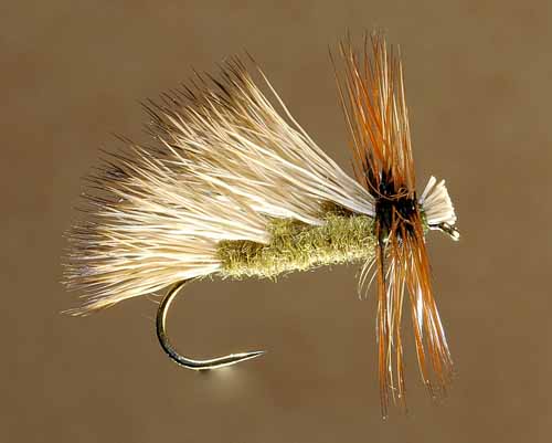 Big Attractor Dry Flies Part 2