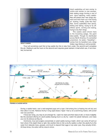 Morris and Chan on Fly Fishing Trout Lakes Chapter Information