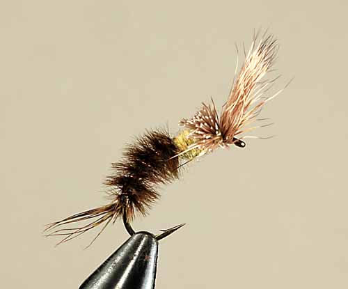 Morris May Emerger, Green Drake