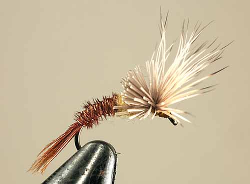 Morris May Emerger, PMD