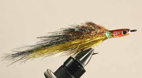 Morris Minnow, Brown