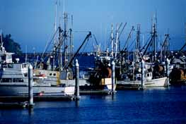 Fishing Boats in Neah Bay, Washington