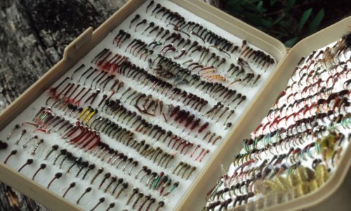 Chironomid Flies in a Fly Box