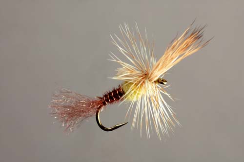 Quigley Cripple, PMD Collector's Fly tied by Skip Morris