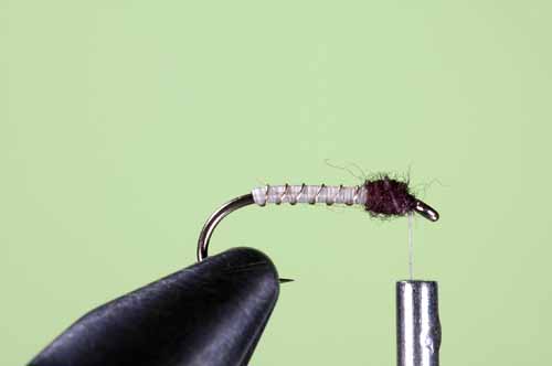 size 18 Hot Pattern Mercury Miracle Midge Emerger  Fly Clear bead/Gold Rib 