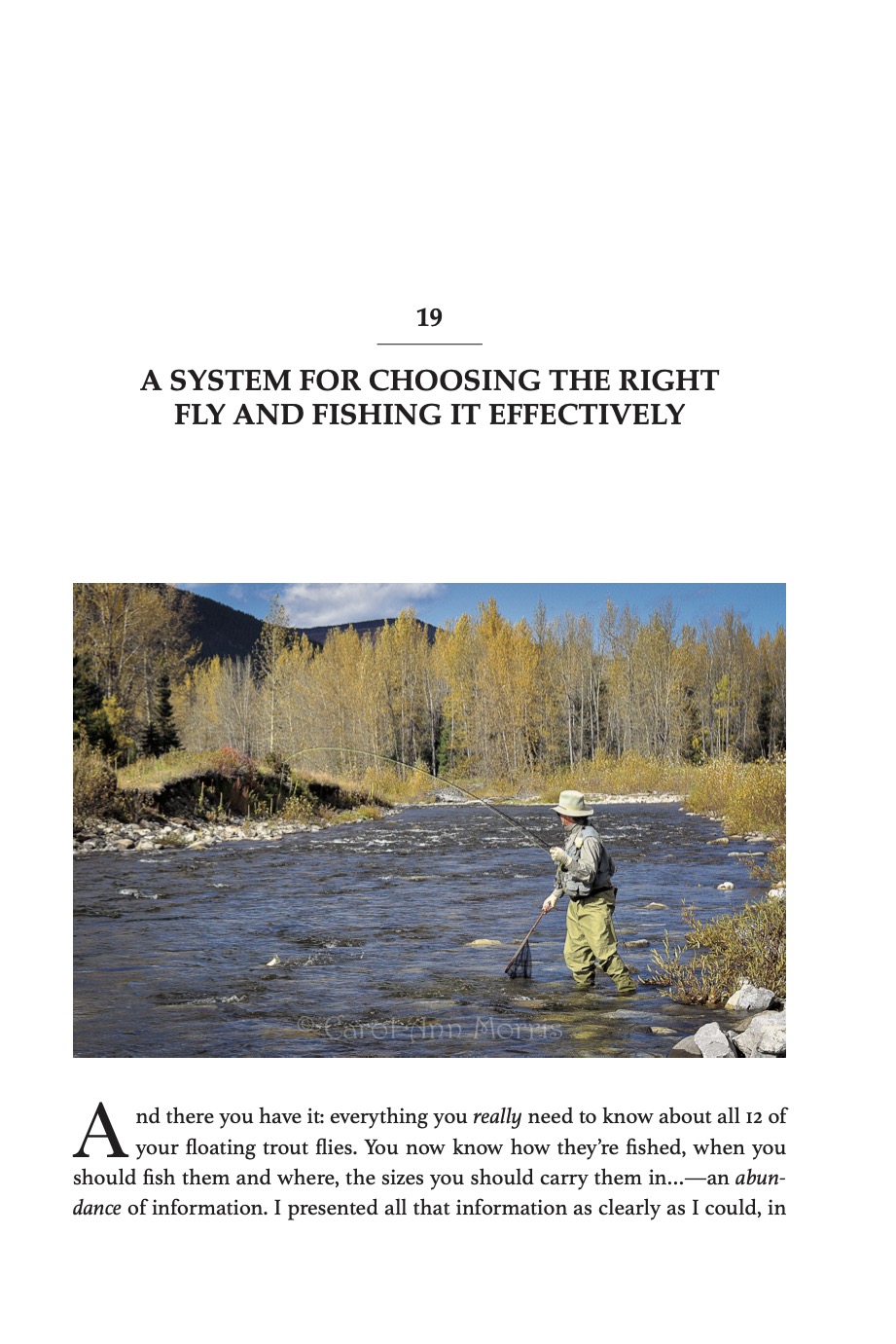 Top 12 Dry Flies for Trout Streams: How, When, and Where to Fish Them by Skip Morris, sample chapter page