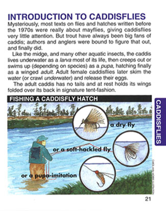 Fly Fishers Guide to Western River Hatches