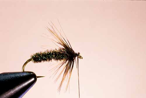 Wet Fly Hackles, Standard Approach, Step 3