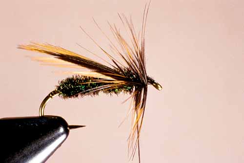 Wet Fly Hackles, Reverse-Wound Method, Step 2