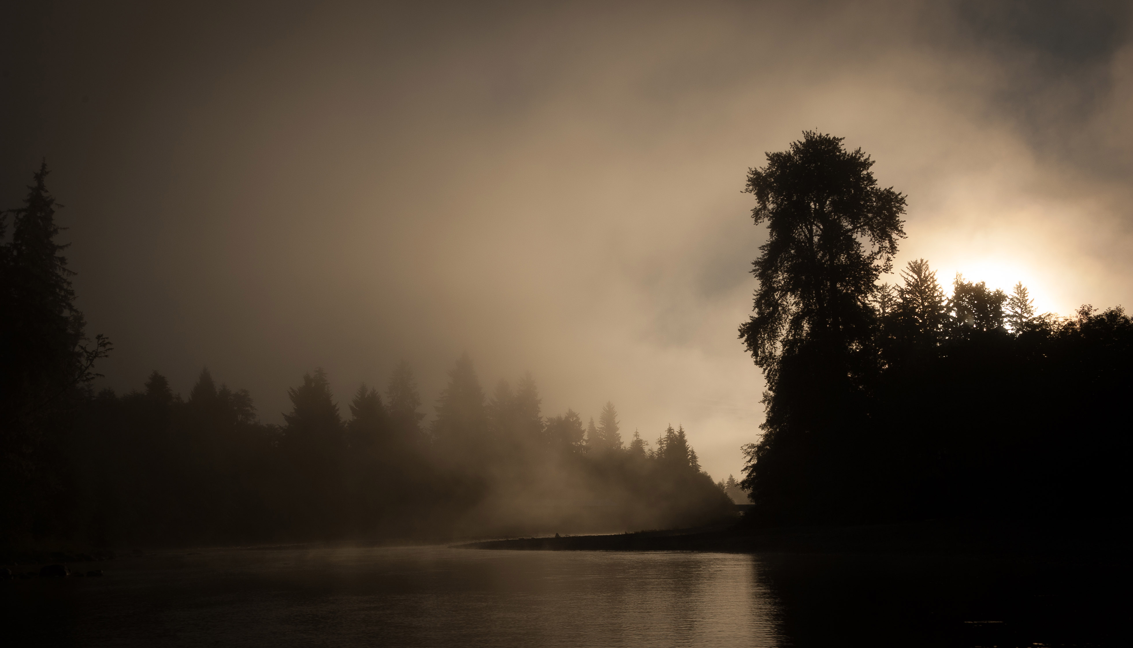 Early morning fog on the river in wild western Washington