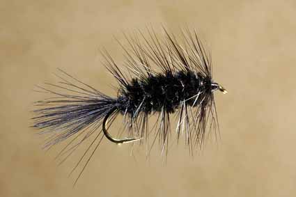 Woolly Bugger, Black