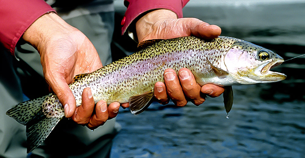 A Day on the Yakima River