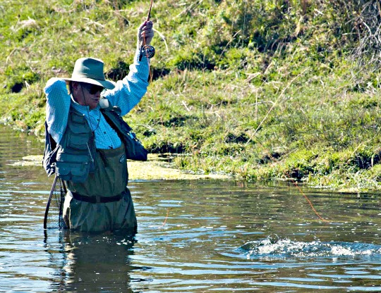 Author Skip Morris bringing a large Crab Creek rainbow to the net